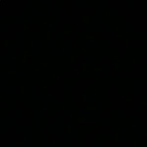 Meet your Posher, Ellie